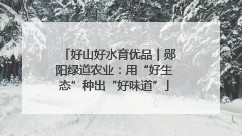 好山好水育优品｜郧阳绿道农业：用“好生态”种出“好味道”