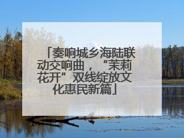 奏响城乡海陆联动交响曲，“茉莉花开”双线绽放文化惠民新篇