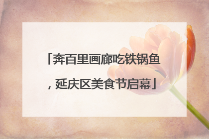 奔百里画廊吃铁锅鱼，延庆区美食节启幕