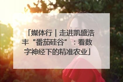 媒体行｜走进凯盛浩丰“番茄硅谷”：看数字神经下的精准农业