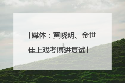 媒体：黄晓明、金世佳上戏考博进复试