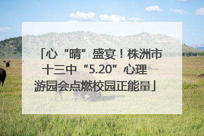 心“晴”盛宴！株洲市十三中“5.20”心理游园会点燃校园正能量