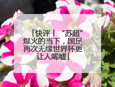 快评丨“苏超”爆火的当下，国足再次无缘世界杯更让人唏嘘