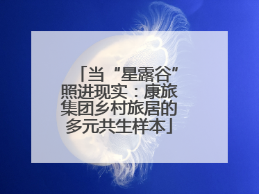 当“星露谷”照进现实：康旅集团乡村旅居的多元共生样本