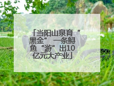 当阳山泉育“黑金” 一条鲟鱼“游”出10亿元大产业