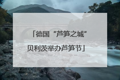 德国“芦笋之城”贝利茨举办芦笋节
