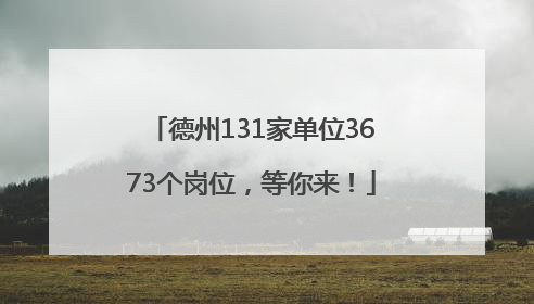 德州131家单位3673个岗位，等你来！