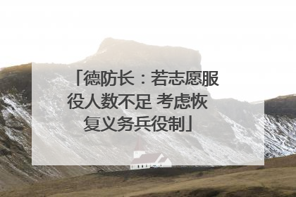 德防长：若志愿服役人数不足 考虑恢复义务兵役制