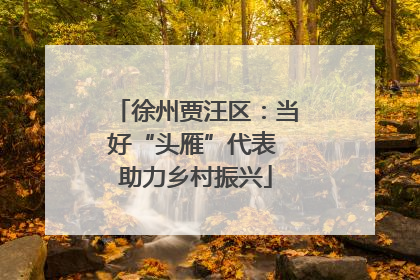 徐州贾汪区：当好“头雁”代表 助力乡村振兴