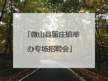 微山县留庄镇举办专场招聘会