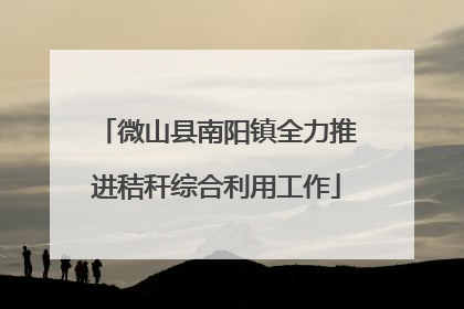 微山县南阳镇全力推进秸秆综合利用工作