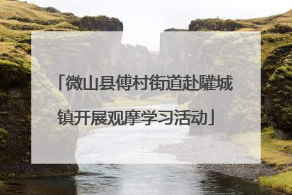 微山县傅村街道赴驩城镇开展观摩学习活动