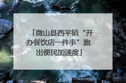 微山县西平镇“开办餐饮店一件事”跑出便民加速度
