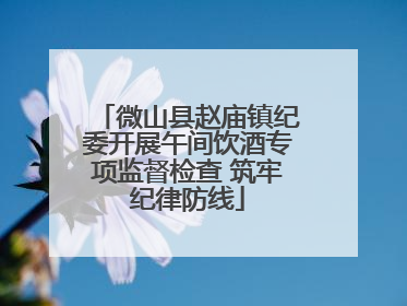微山县赵庙镇纪委开展午间饮酒专项监督检查 筑牢纪律防线