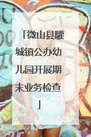 微山县驩城镇公办幼儿园开展期末业务检查