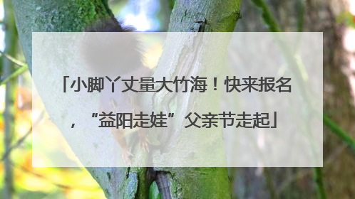 小脚丫丈量大竹海！快来报名，“益阳走娃”父亲节走起