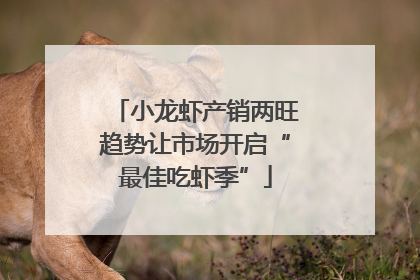 小龙虾产销两旺趋势让市场开启“最佳吃虾季”