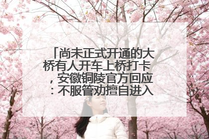 尚未正式开通的大桥有人开车上桥打卡，安徽铜陵官方回应：不服管劝擅自进入，已采取措施