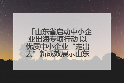 山东省启动中小企业出海专项行动 以优质中小企业“走出去”新成效展示山东产业发展新形象