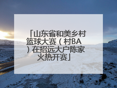 山东省和美乡村篮球大赛（村BA）在招远大户陈家火热开赛