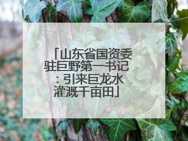 山东省国资委驻巨野第一书记：引来巨龙水 灌溉千亩田