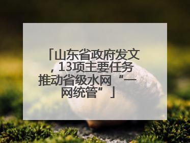 山东省政府发文，13项主要任务推动省级水网“一网统管”