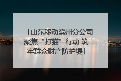 山东移动滨州分公司聚焦“打猫”行动 筑牢群众财产防护堤
