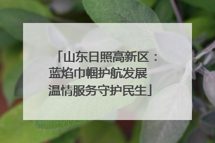 山东日照高新区：蓝焰巾帼护航发展 温情服务守护民生