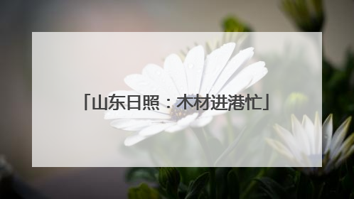 山东日照：木材进港忙