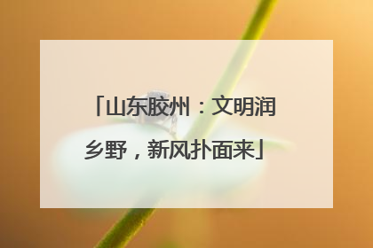 山东胶州：文明润乡野，新风扑面来