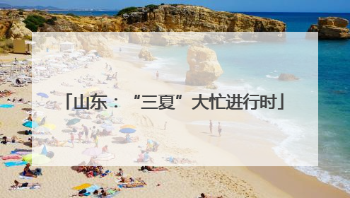 山东：“三夏”大忙进行时
