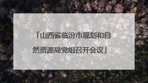 山西省临汾市规划和自然资源局党组召开会议