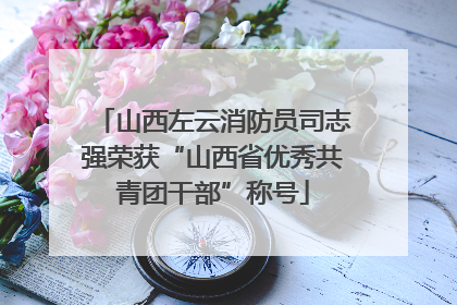 山西左云消防员司志强荣获“山西省优秀共青团干部”称号