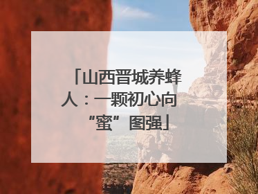 山西晋城养蜂人：一颗初心向“蜜”图强