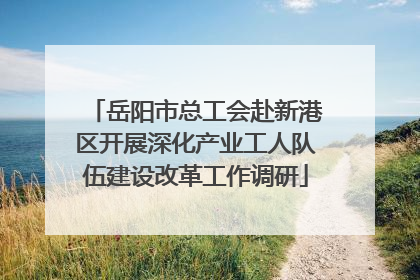 岳阳市总工会赴新港区开展深化产业工人队伍建设改革工作调研