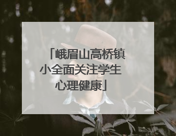 峨眉山高桥镇小全面关注学生心理健康