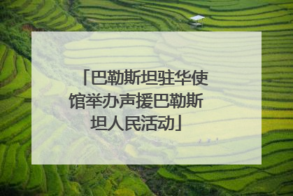 巴勒斯坦驻华使馆举办声援巴勒斯坦人民活动