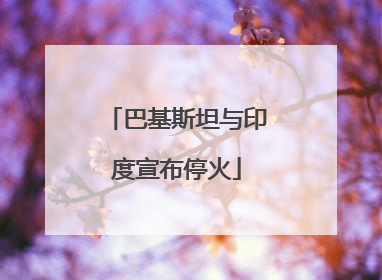 巴基斯坦与印度宣布停火