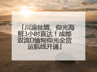 川渝丝绸、仰光海鲜3小时直达！成都双流⇌缅甸仰光全货运航线开通