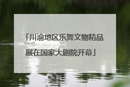 川渝地区乐舞文物精品展在国家大剧院开幕
