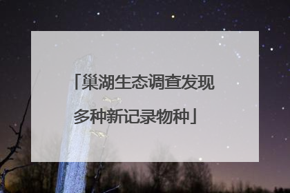 巢湖生态调查发现多种新记录物种