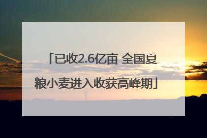 已收2.6亿亩 全国夏粮小麦进入收获高峰期