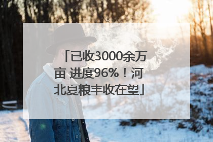 已收3000余万亩 进度96%！河北夏粮丰收在望