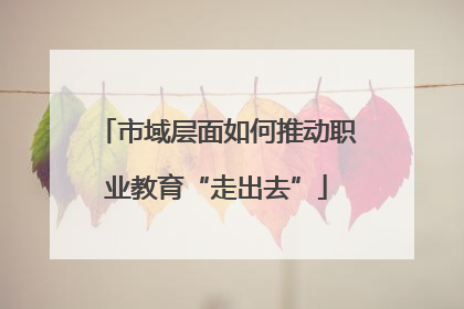 市域层面如何推动职业教育“走出去”