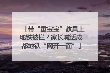 带“蚕宝宝”教具上地铁被拦？家长喊话成都地铁“网开一面”