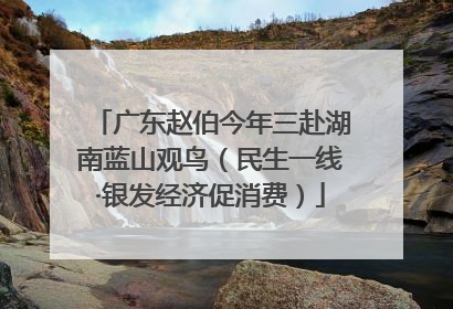 广东赵伯今年三赴湖南蓝山观鸟（民生一线·银发经济促消费）