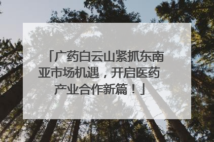 广药白云山紧抓东南亚市场机遇，开启医药产业合作新篇！