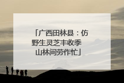 广西田林县：仿野生灵芝丰收季 山林间劳作忙