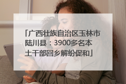 广西壮族自治区玉林市陆川县：3900多名本土干部回乡解纷促和