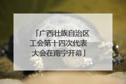 广西壮族自治区工会第十四次代表大会在南宁开幕